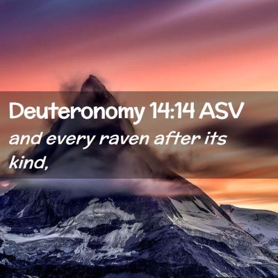 Picture 02 - Deuteronomy 14:14 ASV - and every raven after its - Bible Verse Picture