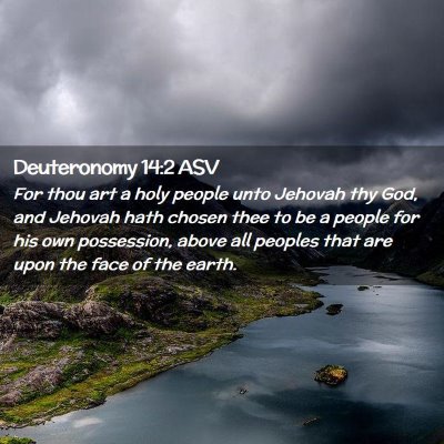 Picture 02 - Deuteronomy 14:2 ASV - For thou art a holy people unto Jehovah thy God, - Bible Verse Picture
