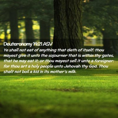 Picture 02 - Deuteronomy 14:21 ASV - Ye shall not eat of anything that dieth of - Bible Verse Picture