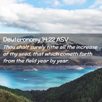 Picture 02 - Deuteronomy 14:22 ASV - Thou shalt surely tithe all the increase of thy - Bible Verse Picture