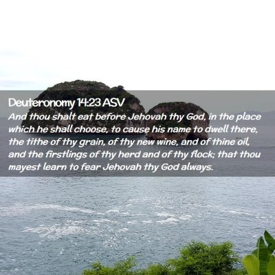 Picture 02 - Deuteronomy 14:23 ASV - And thou shalt eat before Jehovah thy God, in the - Bible Verse Picture