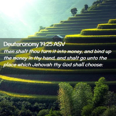 Picture 02 - Deuteronomy 14:25 ASV - then shalt thou turn it into money, and bind up - Bible Verse Picture