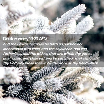 Picture 02 - Deuteronomy 14:29 ASV - and the Levite, because he hath no portion nor - Bible Verse Picture