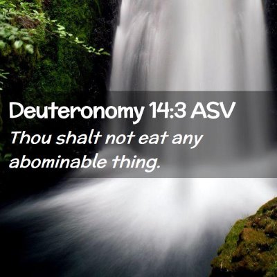 Picture 02 - Deuteronomy 14:3 ASV - Thou shalt not eat any abominable - Bible Verse Picture