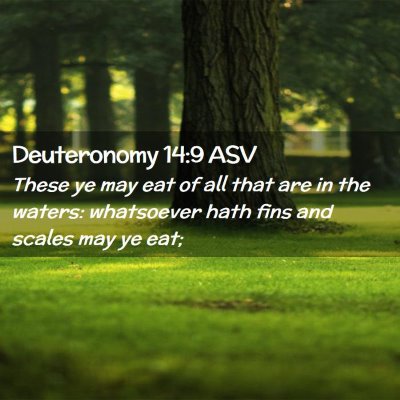 Picture 02 - Deuteronomy 14:9 ASV - These ye may eat of all that are in the waters: - Bible Verse Picture