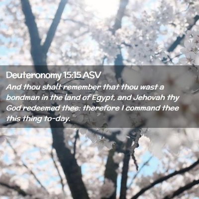 Picture 02 - Deuteronomy 15:15 ASV - And thou shalt remember that thou wast a bondman - Bible Verse Picture