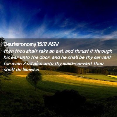 Picture 02 - Deuteronomy 15:17 ASV - then thou shalt take an awl, and thrust it - Bible Verse Picture