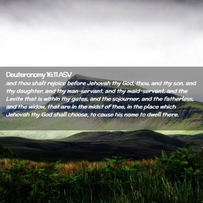 Picture 02 - Deuteronomy 16:11 ASV - and thou shalt rejoice before Jehovah thy God, - Bible Verse Picture