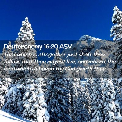 Picture 02 - Deuteronomy 16:20 ASV - That which is altogether just shalt thou follow, - Bible Verse Picture