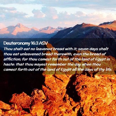 Picture 02 - Deuteronomy 16:3 ASV - Thou shalt eat no leavened bread with it; seven - Bible Verse Picture