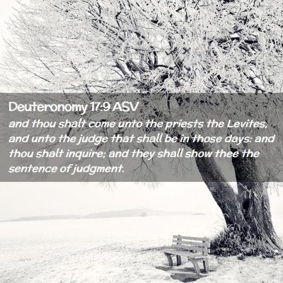 Picture 02 - Deuteronomy 17:9 ASV - and thou shalt come unto the priests the Levites, - Bible Verse Picture