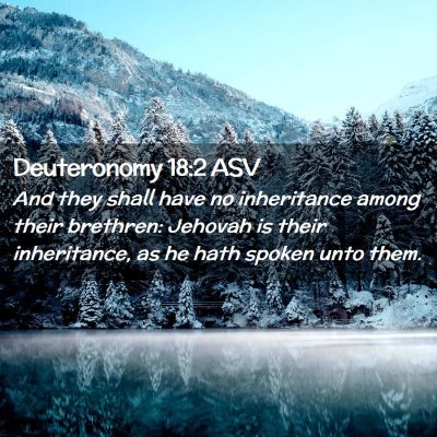 Picture 02 - Deuteronomy 18:2 ASV - And they shall have no inheritance among their - Bible Verse Picture