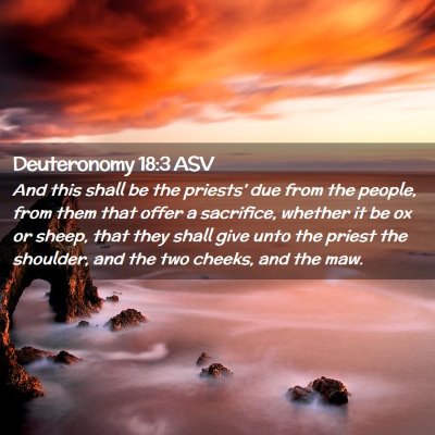Picture 02 - Deuteronomy 18:3 ASV - And this shall be the priests' due from the - Bible Verse Picture