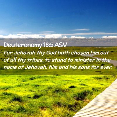 Picture 02 - Deuteronomy 18:5 ASV - For Jehovah thy God hath chosen him out of all - Bible Verse Picture
