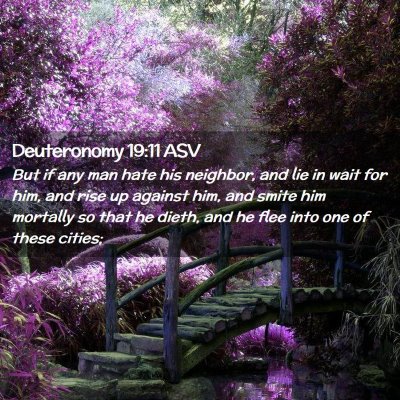Picture 02 - Deuteronomy 19:11 ASV - But if any man hate his neighbor, and lie in wait - Bible Verse Picture