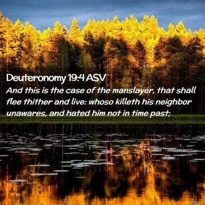 Picture 02 - Deuteronomy 19:4 ASV - And this is the case of the manslayer, that shall - Bible Verse Picture