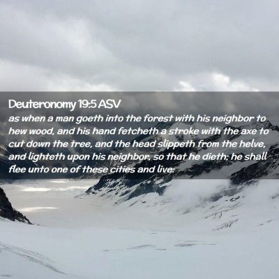 Picture 02 - Deuteronomy 19:5 ASV - as when a man goeth into the forest with his - Bible Verse Picture