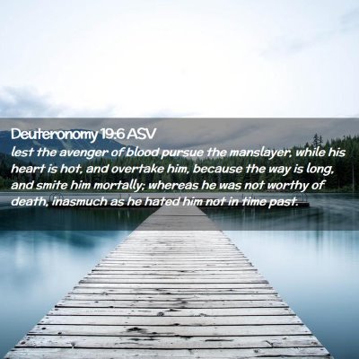 Picture 02 - Deuteronomy 19:6 ASV - lest the avenger of blood pursue the manslayer, - Bible Verse Picture