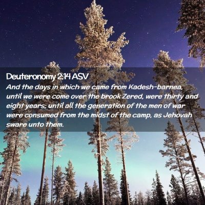 Picture 02 - Deuteronomy 2:14 ASV - And the days in which we came from Kadesh-barnea, - Bible Verse Picture
