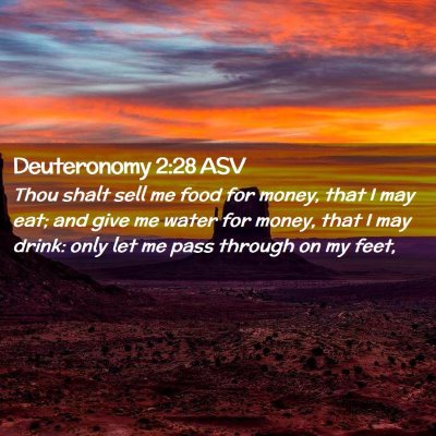 Picture 02 - Deuteronomy 2:28 ASV - Thou shalt sell me food for money, that I may - Bible Verse Picture