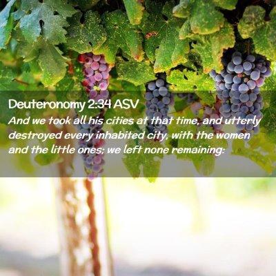 Picture 02 - Deuteronomy 2:34 ASV - And we took all his cities at that time, and - Bible Verse Picture