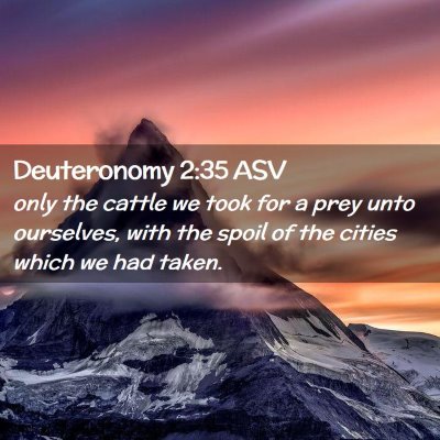 Picture 02 - Deuteronomy 2:35 ASV - only the cattle we took for a prey unto - Bible Verse Picture