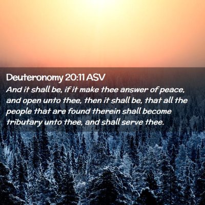 Picture 02 - Deuteronomy 20:11 ASV - And it shall be, if it make thee answer of peace, - Bible Verse Picture
