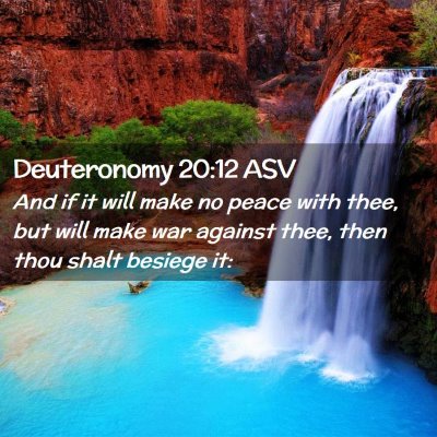 Picture 02 - Deuteronomy 20:12 ASV - And if it will make no peace with thee, but will - Bible Verse Picture