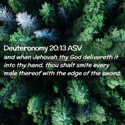 Picture 02 - Deuteronomy 20:13 ASV - and when Jehovah thy God delivereth it into thy - Bible Verse Picture
