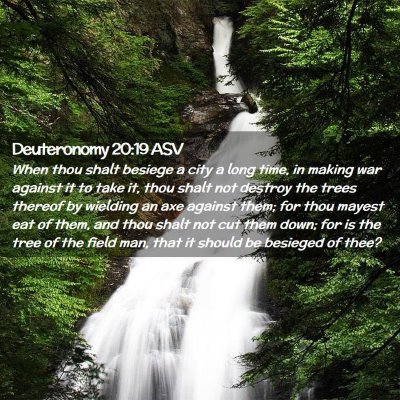 Picture 02 - Deuteronomy 20:19 ASV - When thou shalt besiege a city a long time, in - Bible Verse Picture