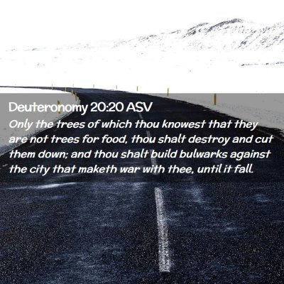 Picture 02 - Deuteronomy 20:20 ASV - Only the trees of which thou knowest that they - Bible Verse Picture