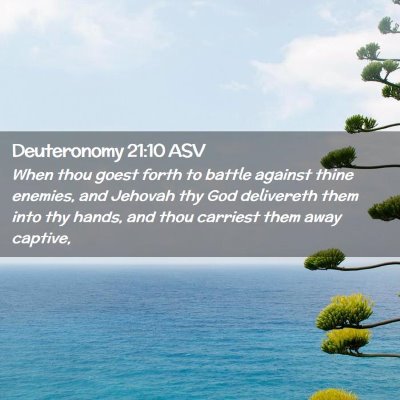 Picture 02 - Deuteronomy 21:10 ASV - When thou goest forth to battle against thine - Bible Verse Picture