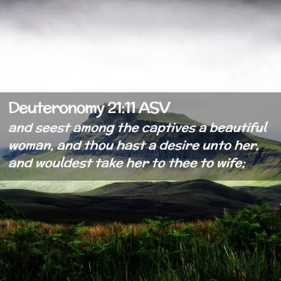 Picture 02 - Deuteronomy 21:11 ASV - and seest among the captives a beautiful woman, - Bible Verse Picture