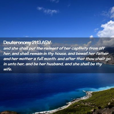 Picture 02 - Deuteronomy 21:13 ASV - and she shall put the raiment of her captivity - Bible Verse Picture