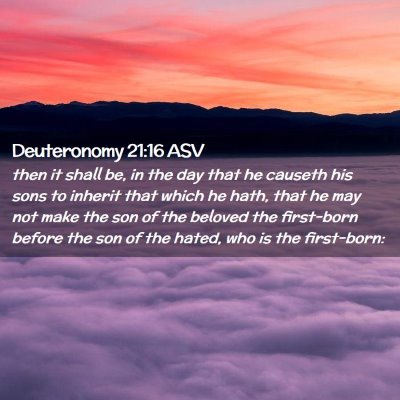 Picture 02 - Deuteronomy 21:16 ASV - then it shall be, in the day that he causeth his - Bible Verse Picture