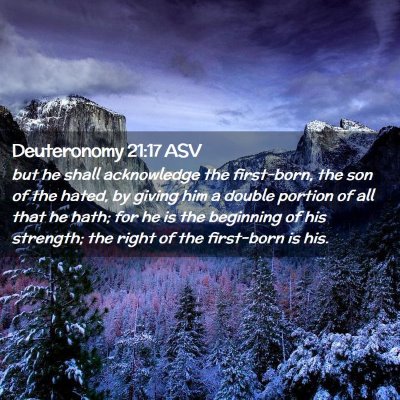 Picture 02 - Deuteronomy 21:17 ASV - but he shall acknowledge the first-born, the son - Bible Verse Picture