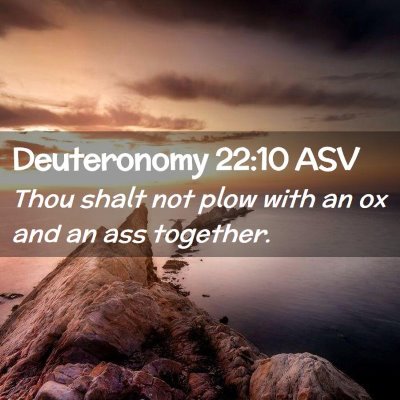 Picture 02 - Deuteronomy 22:10 ASV - Thou shalt not plow with an ox and an ass - Bible Verse Picture