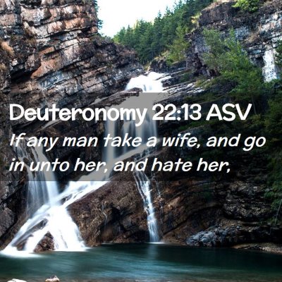 Picture 02 - Deuteronomy 22:13 ASV - If any man take a wife, and go in unto her, and - Bible Verse Picture