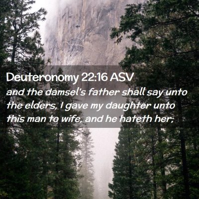 Picture 02 - Deuteronomy 22:16 ASV - and the damsel's father shall say unto the - Bible Verse Picture