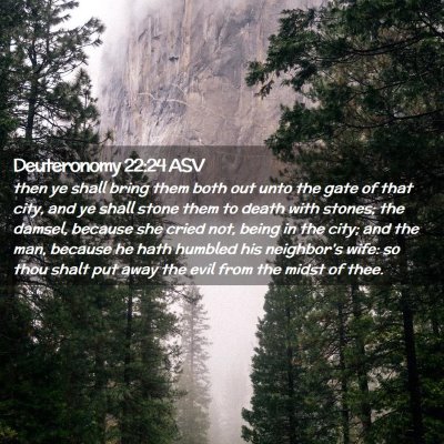Picture 02 - Deuteronomy 22:24 ASV - then ye shall bring them both out unto the gate - Bible Verse Picture