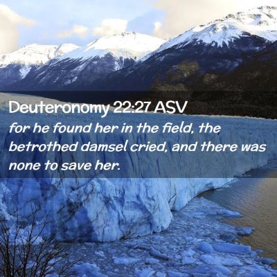 Picture 02 - Deuteronomy 22:27 ASV - for he found her in the field, the betrothed - Bible Verse Picture