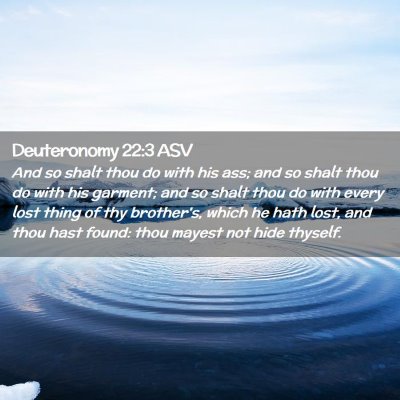 Picture 02 - Deuteronomy 22:3 ASV - And so shalt thou do with his ass; and so shalt - Bible Verse Picture