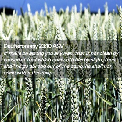 Picture 02 - Deuteronomy 23:10 ASV - If there be among you any man, that is not clean - Bible Verse Picture