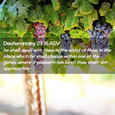 Picture 02 - Deuteronomy 23:16 ASV - he shall dwell with thee, in the midst of thee, - Bible Verse Picture