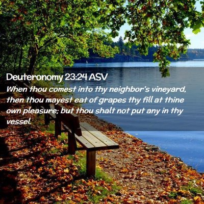 Picture 02 - Deuteronomy 23:24 ASV - When thou comest into thy neighbor's vineyard, - Bible Verse Picture