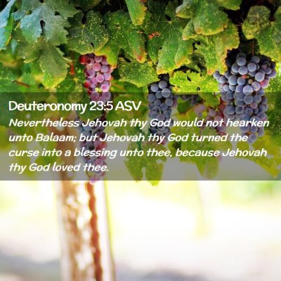 Picture 02 - Deuteronomy 23:5 ASV - Nevertheless Jehovah thy God would not hearken - Bible Verse Picture
