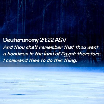 Picture 02 - Deuteronomy 24:22 ASV - And thou shalt remember that thou wast a bondman - Bible Verse Picture