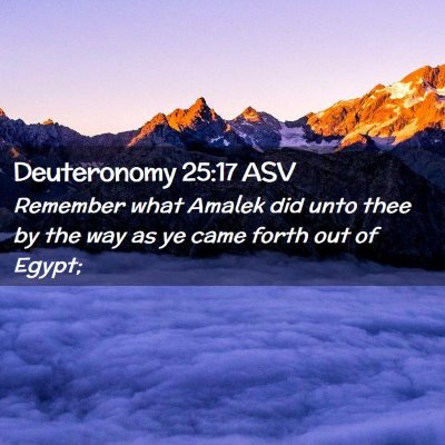 Picture 02 - Deuteronomy 25:17 ASV - Remember what Amalek did unto thee by the way as - Bible Verse Picture