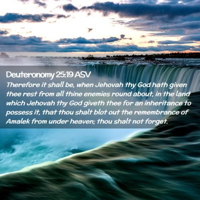Picture 02 - Deuteronomy 25:19 ASV - Therefore it shall be, when Jehovah thy God hath - Bible Verse Picture
