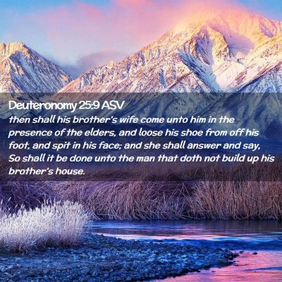 Picture 02 - Deuteronomy 25:9 ASV - then shall his brother's wife come unto him in - Bible Verse Picture